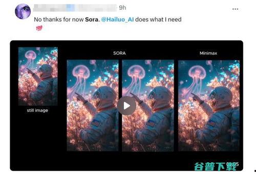 国产视频站,引领潮流,打造视听盛宴的数字家园