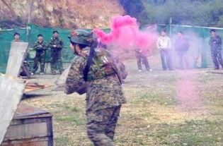 国产树林野战在线播放