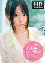 国产成人大香蕉,探索国产成人影视的崛起与魅力